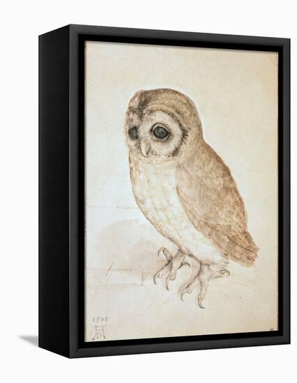 The Screech Owl-Albrecht Dürer-Framed Premier Image Canvas