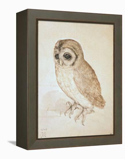 The Screech Owl-Albrecht Dürer-Framed Premier Image Canvas