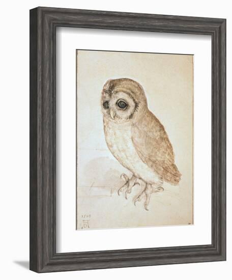 The Screech Owl-Albrecht Dürer-Framed Giclee Print