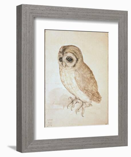 The Screech Owl-Albrecht Dürer-Framed Giclee Print