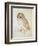 The Screech Owl-Albrecht Dürer-Framed Giclee Print