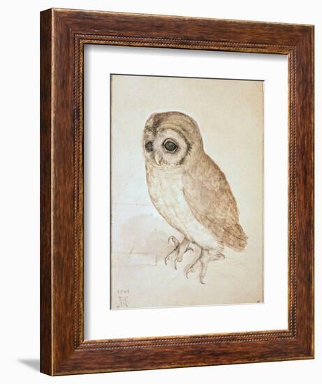 The Screech Owl-Albrecht Dürer-Framed Giclee Print