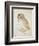 The Screech Owl-Albrecht Dürer-Framed Giclee Print