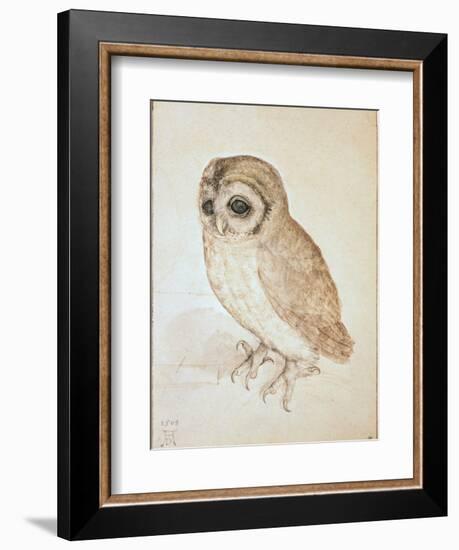 The Screech Owl-Albrecht Dürer-Framed Giclee Print