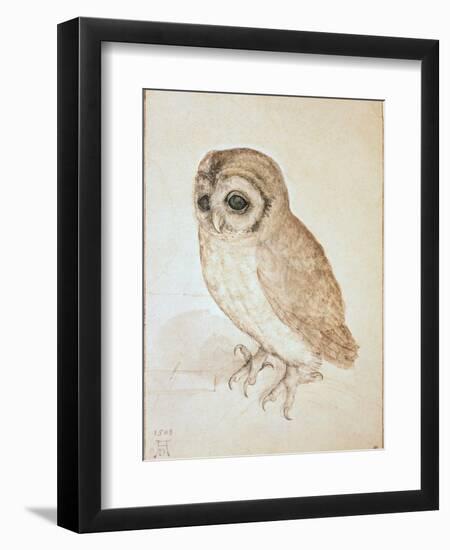 The Screech Owl-Albrecht Dürer-Framed Giclee Print