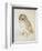 The Screech Owl-Albrecht Dürer-Framed Giclee Print