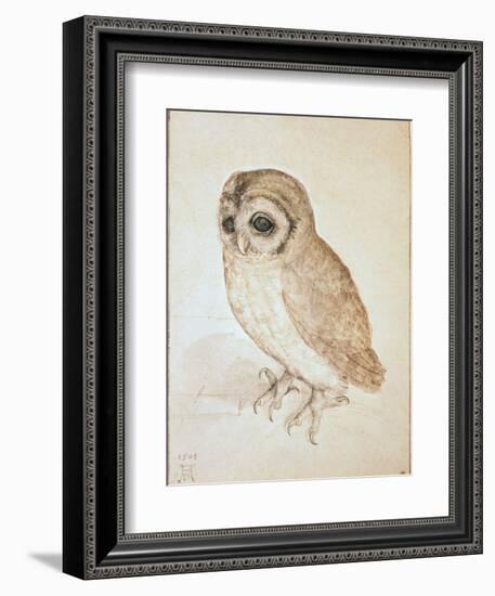 The Screech Owl-Albrecht Dürer-Framed Giclee Print