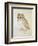 The Screech Owl-Albrecht Dürer-Framed Giclee Print