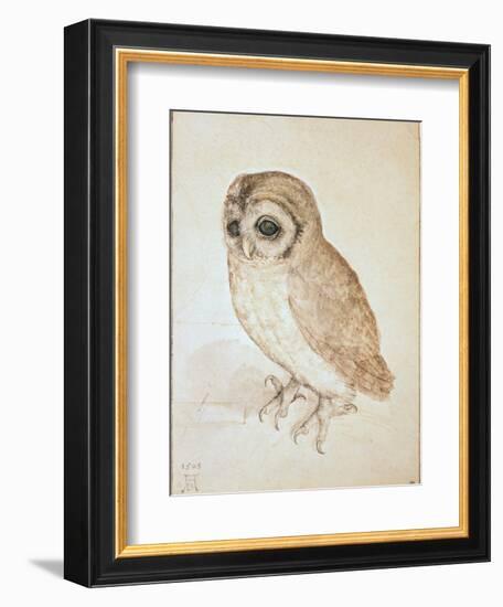 The Screech Owl-Albrecht Dürer-Framed Giclee Print