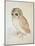 The Screech Owl-Albrecht Dürer-Mounted Premium Giclee Print