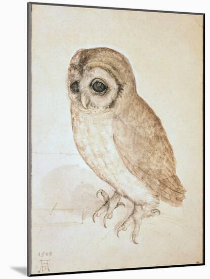 The Screech Owl-Albrecht Dürer-Mounted Premium Giclee Print