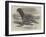 The Sea-Bear at Cremorne Gardens-Thomas W. Wood-Framed Giclee Print