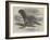 The Sea-Bear at Cremorne Gardens-Thomas W. Wood-Framed Giclee Print