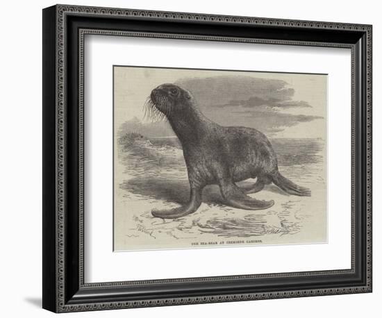 The Sea-Bear at Cremorne Gardens-Thomas W. Wood-Framed Giclee Print