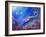 The Sea Dragon-Bill Bell-Framed Giclee Print