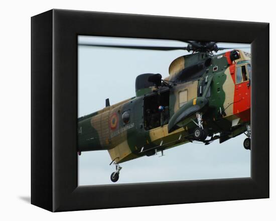 The Sea King Helicopter in Use by the Belgian Air Force-Stocktrek Images-Framed Premier Image Canvas