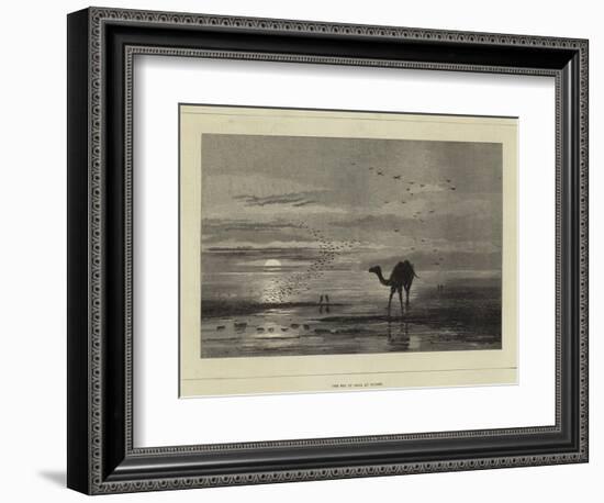 The Sea of Aral at Sunset-null-Framed Giclee Print