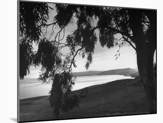 The Sea of Galilee as Seen from the Shade of a Tree, Mountains in the Background-Dmitri Kessel-Mounted Photographic Print