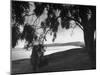 The Sea of Galilee as Seen from the Shade of a Tree, Mountains in the Background-Dmitri Kessel-Mounted Photographic Print