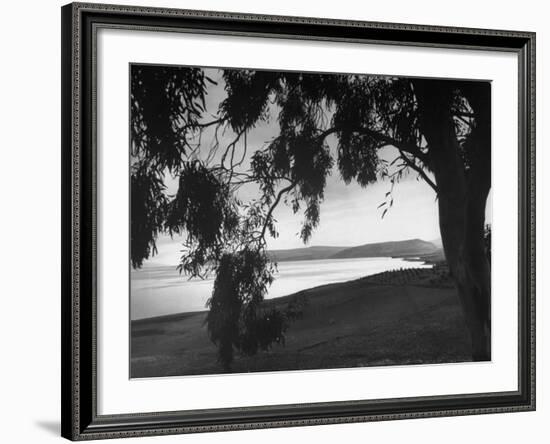 The Sea of Galilee as Seen from the Shade of a Tree, Mountains in the Background-Dmitri Kessel-Framed Photographic Print