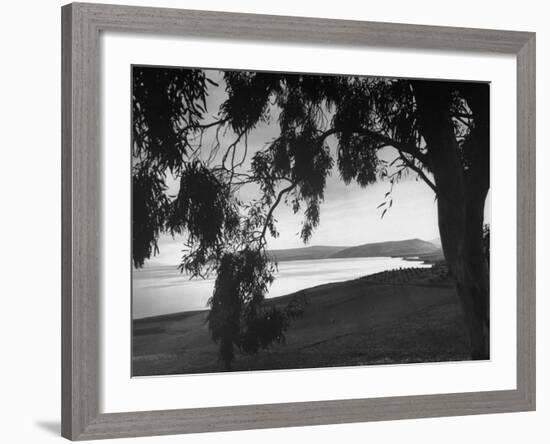The Sea of Galilee as Seen from the Shade of a Tree, Mountains in the Background-Dmitri Kessel-Framed Photographic Print