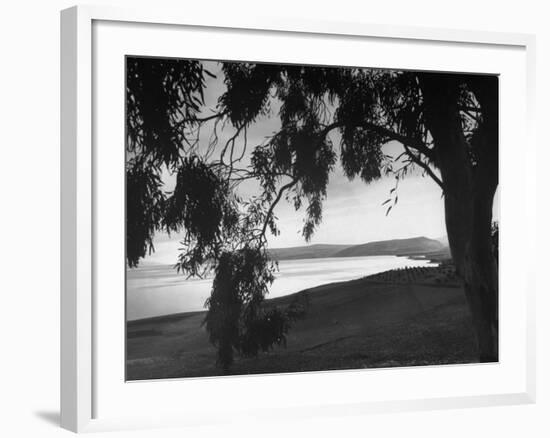 The Sea of Galilee as Seen from the Shade of a Tree, Mountains in the Background-Dmitri Kessel-Framed Photographic Print