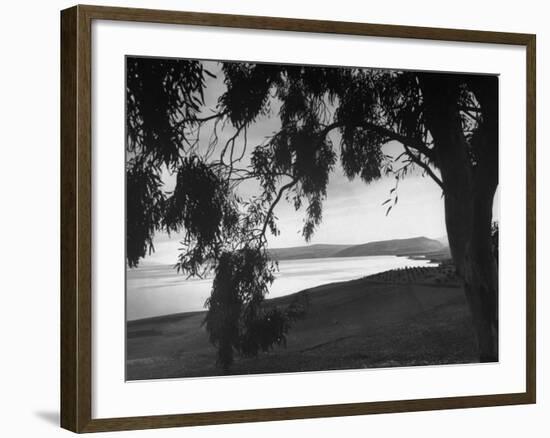 The Sea of Galilee as Seen from the Shade of a Tree, Mountains in the Background-Dmitri Kessel-Framed Photographic Print