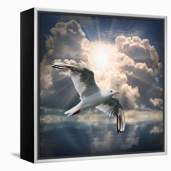 The Seagull Flying Over A Sea Against A Dramatic Sky. Background From Nature-Kletr-Framed Premier Image Canvas