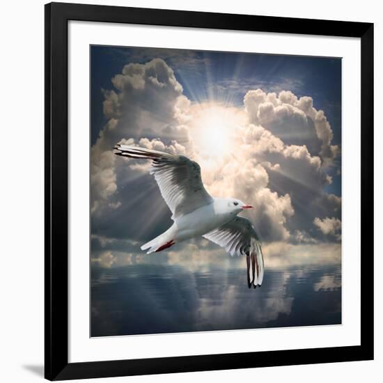 The Seagull Flying Over A Sea Against A Dramatic Sky. Background From Nature-Kletr-Framed Premium Photographic Print