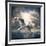 The Seagull Flying Over A Sea Against A Dramatic Sky. Background From Nature-Kletr-Framed Premium Photographic Print