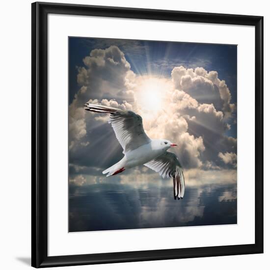 The Seagull Flying Over A Sea Against A Dramatic Sky. Background From Nature-Kletr-Framed Premium Photographic Print