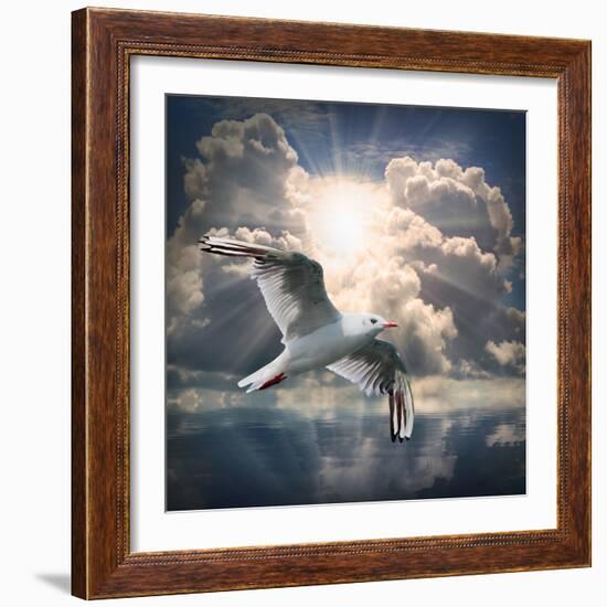 The Seagull Flying Over A Sea Against A Dramatic Sky. Background From Nature-Kletr-Framed Photographic Print