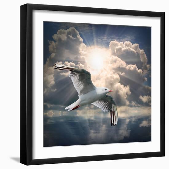 The Seagull Flying Over A Sea Against A Dramatic Sky. Background From Nature-Kletr-Framed Photographic Print