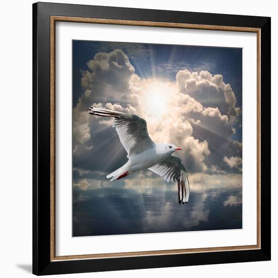 The Seagull Flying Over A Sea Against A Dramatic Sky. Background From Nature-Kletr-Framed Photographic Print