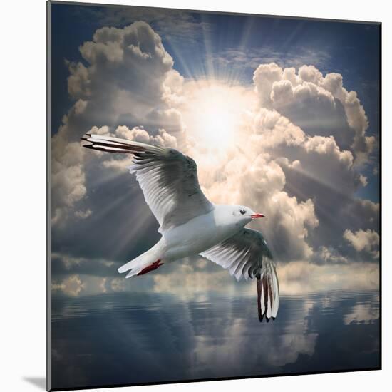 The Seagull Flying Over A Sea Against A Dramatic Sky. Background From Nature-Kletr-Mounted Photographic Print