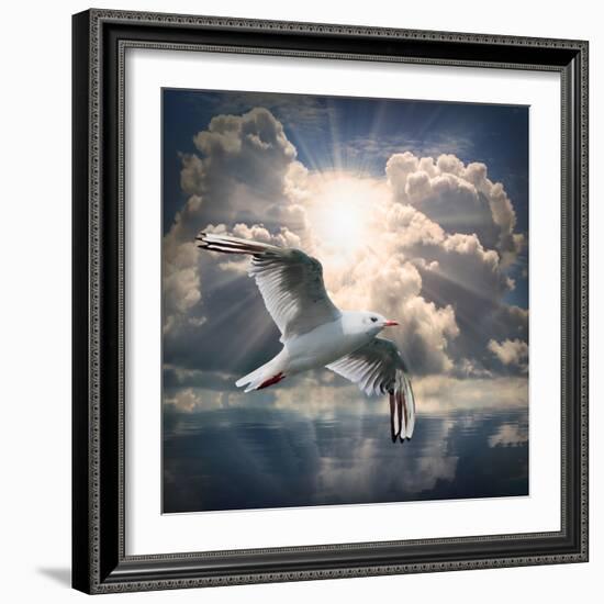 The Seagull Flying Over A Sea Against A Dramatic Sky. Background From Nature-Kletr-Framed Photographic Print