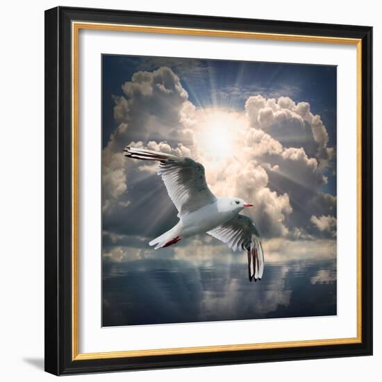 The Seagull Flying Over A Sea Against A Dramatic Sky. Background From Nature-Kletr-Framed Photographic Print