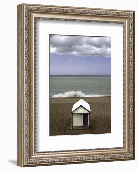 The Seagull-Gill Copeland-Framed Art Print