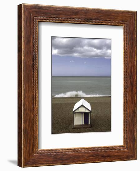 The Seagull-Gill Copeland-Framed Art Print