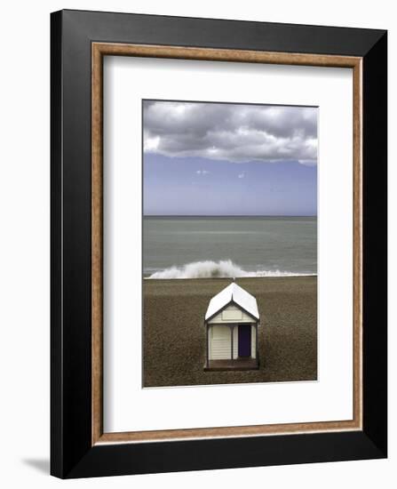 The Seagull-Gill Copeland-Framed Art Print