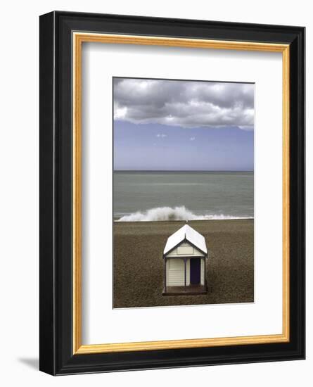 The Seagull-Gill Copeland-Framed Art Print