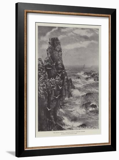 The Seagulls' Retreat-null-Framed Giclee Print