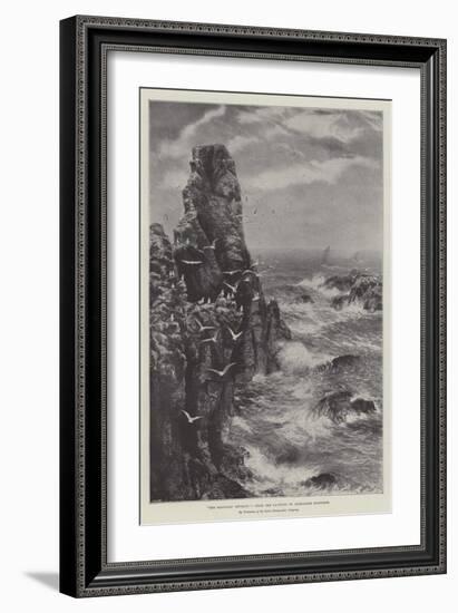 The Seagulls' Retreat-null-Framed Giclee Print