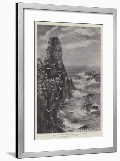 The Seagulls' Retreat-null-Framed Giclee Print