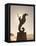 The Seahorse Sculpture on the Malecon, Puerto Vallarta, Jalisco, Mexico, North America-Michael DeFreitas-Framed Premier Image Canvas