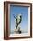 The Seahorse Sculpture on the Malecon, Puerto Vallarta, Jalisco, Mexico, North America-Michael DeFreitas-Framed Photographic Print