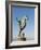 The Seahorse Sculpture on the Malecon, Puerto Vallarta, Jalisco, Mexico, North America-Michael DeFreitas-Framed Photographic Print