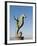 The Seahorse Sculpture on the Malecon, Puerto Vallarta, Jalisco, Mexico, North America-Michael DeFreitas-Framed Photographic Print