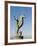 The Seahorse Sculpture on the Malecon, Puerto Vallarta, Jalisco, Mexico, North America-Michael DeFreitas-Framed Photographic Print