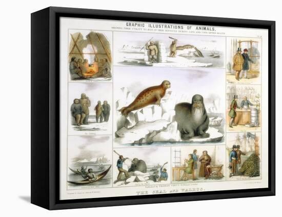 The Seal and the Walrus, C1850-Benjamin Waterhouse Hawkins-Framed Premier Image Canvas